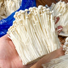 싱싱한 국내산 팽이버섯 산지직송 신선 채소 찌개용 전골용, 1세트, 팽이버섯 2kg