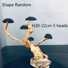 수족관 유목 조경 장식 어항 목재 DIY 공예 장식, H20-25cm 6 heads