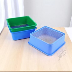 사각 묵채 우무가사리채 우뭇가사리채방, 사각묵채, 1개