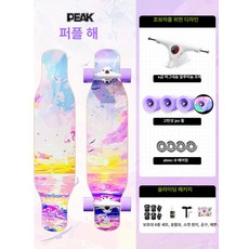 성인용롱보드 초보자 레저용 스케이트보드, 1개, 퍼플 씨 [프로페셔널 ]