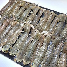 바로온 급냉 활 갯가재 1Kg, 1kg x 1박스