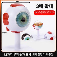 안구모형 교육용 눈 구조 확대 망막 학교 안과, 3배 확대된 안구 해부 모델, 1개