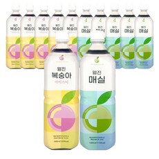 웰진 1L 복숭아 아이스티+매실 총 12개 과일원액 희석음료