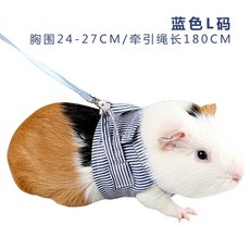 爆款下殺 侏儒兔荷蘭豬豚鼠龍貓金花魔王鬆鼠牽引繩背心式繩子外齣衣服用品 JLEI, 藍色L碼-胸圍24-27公分, 1個