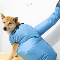 반려견 목욕 후 건조 의류 애완동물 물기 제거 전신 수트, 1개, S