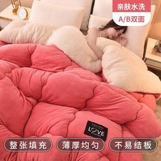 두꺼운 양털 이불 따뜻한 가을 싱글 더블 겨울 플란넬 코어 우유 담요 기숙사