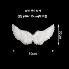 틴다샵 강아지화동 결혼식 화견 화동 웨딩 원피스, 1개, 화이트 엔젤 윙 [소형]