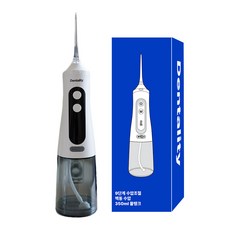 덴탈리티 9단계 수압조절 구강세정기