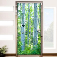 아트박스/꾸밈 cl850-자작나무숲에서_현관문시트지, 본품