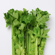 부드럽게 아삭한 베이비 샐러리, 베이비 샐러리 1kg, 1kg, 1개
