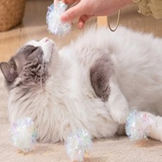 꼬물 홀로그램 바스락 캣볼 샐러드그릇 투명볼