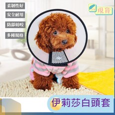 伊莉莎白頭套頸圈：寵物術後防舔頭套，貓狗通用羞恥圈, 1個