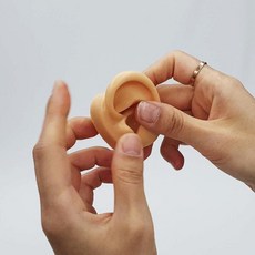 왼쪽 귀모형 인체모형 실리콘 95250pc 1(EA)