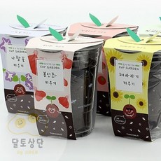 한컵 가든 야채키우기 반려식물키우기 가정용텃밭 식물키트, 나팔꽃