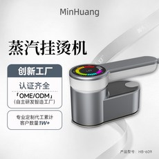 高端手持掛燙機熨衣機大功率蒸汽家用便攜式電熨斗旅行熨斗, 歐規銀灰色:無規格
