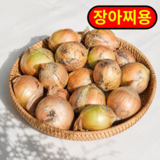 [한정특가] 국내산 꼬마 햇양파 장아찌용, 1박스, 5kg