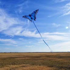 대형 나비연 성인 키덜트 놀이 야외 전통 행사 파랑나비+150m줄+얼레, 파랑/보라나비+300m줄+16크리스탈릴