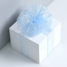 리본리에 무지 오간디 리본 끈, 25mm(50yd), 28.연하늘색