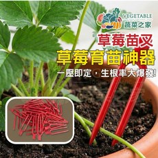 【蔬菜之家】草莓苗叉 壓蔓夾 一壓即定, 1個, 紅色, 100克