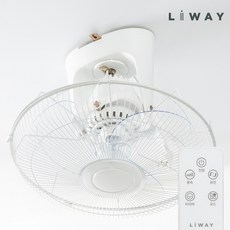 리웨이 리모컨 천장형선풍기 학교 군대 업소용 실링팬 천정용선풍기, LF601R