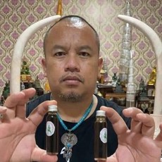 魯士劈木力 皮烹許願靈油 萊泰一 成願 鎖心 增強人緣, 1個