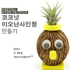 커넥 코코넛 이오난사 인형 만들기 (탄소중립), 단품