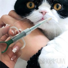디노꿈 약먹이기 필건 고양이필건 강아지알약먹이기 고양이약먹이기