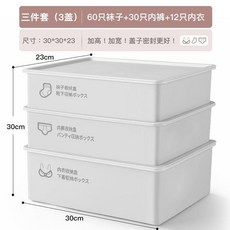 內衣收納盒 襪子內褲分格整理箱, 防蟲防蚊 月光白防潮耐摔款 送貼紙,  內褲盒一件套 入門款10分格, 1個