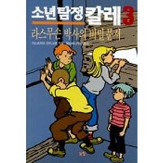 소년탐정 칼레 3(라스무손박사의 비밀문서), 논장