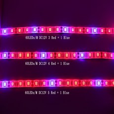 5 M LED 피토 램프 풀 스펙트럼 LED 스트립 조명 300 LED 5050 칩 피토램프 온실 수경 재배 조명, 02 IP20 Not waterproof, 02 IP20 Not waterproof, 02 IP20 Not waterproof