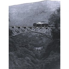 10798766 철도 기차 열차 모형 기관차 SL 증기 - TM8 C12 다카모리선 백 추진 중