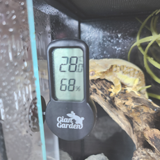 렙티언즈 파충류 온습도계 부착식 블랙 REPTIONS, 1개