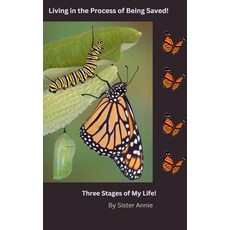 (英文圖書)In The Process of Being Saved: Three Stages of my Life 平裝版, Pa-Pro-VI Publishing, 英文