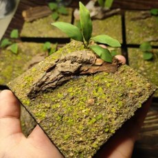 森系場景地台 模型展示底座 苔蘚手工製作, 森系場景地台,百搭植物地台,苔蘚模型0