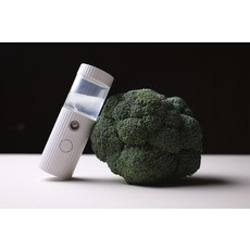 OZO mini 寵物除臭噴霧，活性氧分解異味，一鍵啟動，輕巧便攜，適用於狗窩、玩具, 白色, 1個