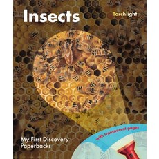 Insects Paperback