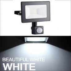 LED PIR 센서 50W 10W AC220V 조명 스포트라이트 정원 IP66 투광 20W 안뜰 야외 방수 30W, ColdWhite, 20와트