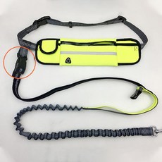 애견 산책용 런닝밸트 리드줄, 블루, 1개