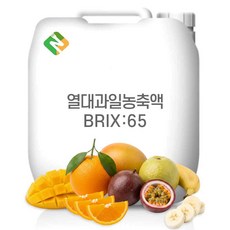 열대과일농축액 65Brix 200g 샘플, 1개