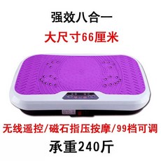 피트니스 운동장비 실내 운동 쉐이킹 머신 체중 감량, 상세페이지 참고, 퍼플