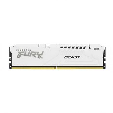 Kingston E-스포츠 DDR5 5600MHz 데스크톱용 램 16GB 화이트, 1개, KF556D40BW