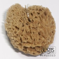 베베캐슬코리아 천연해면 그리스산 항균 아기목욕 스펀지 최상급해면, 칼림노스L, 1개