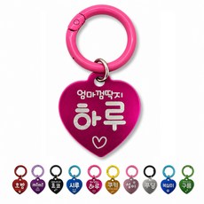 펫츠룩 간편한 고리형 강아지인식표 고양이인식표 강아지이름표 주문제작, 1개, 02.핑크