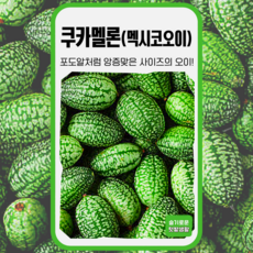 쿠카멜론 씨앗 10립 가람원 종자 모종 작물 텃밭 씨 주말농장 멕시코오이 미니오이 쿠커, 1개