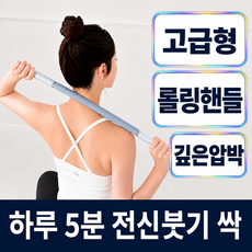 마사지스틱 고급형 종아리 허벅지 롤러, V2라이트블루, 1개