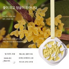 자동차 옷장용 야생 가드니아 석고방향제 차량용 탈취제 실내방향제 추천 고급형, 65g 꽃이 피어나는 계피