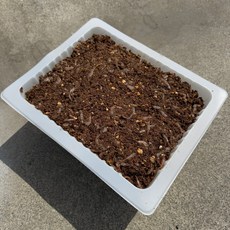 정투발효밑밥 (2.5kg), 2.5kg, 1개