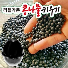 리틀가든콩나물키우기, 빠른배송
