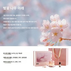 문 라이트 확산석 아로마테라피 선물세트 신혼부부 결혼 이사 생일, 사쿠라 트리 하, 1개
