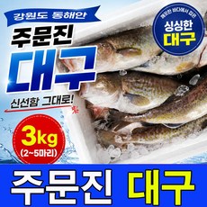 주문진 국내산 생물 생대구 3kg를 신선도 유지를 위해 급속냉동후 발송 2~5마리, 1세트, 3kg